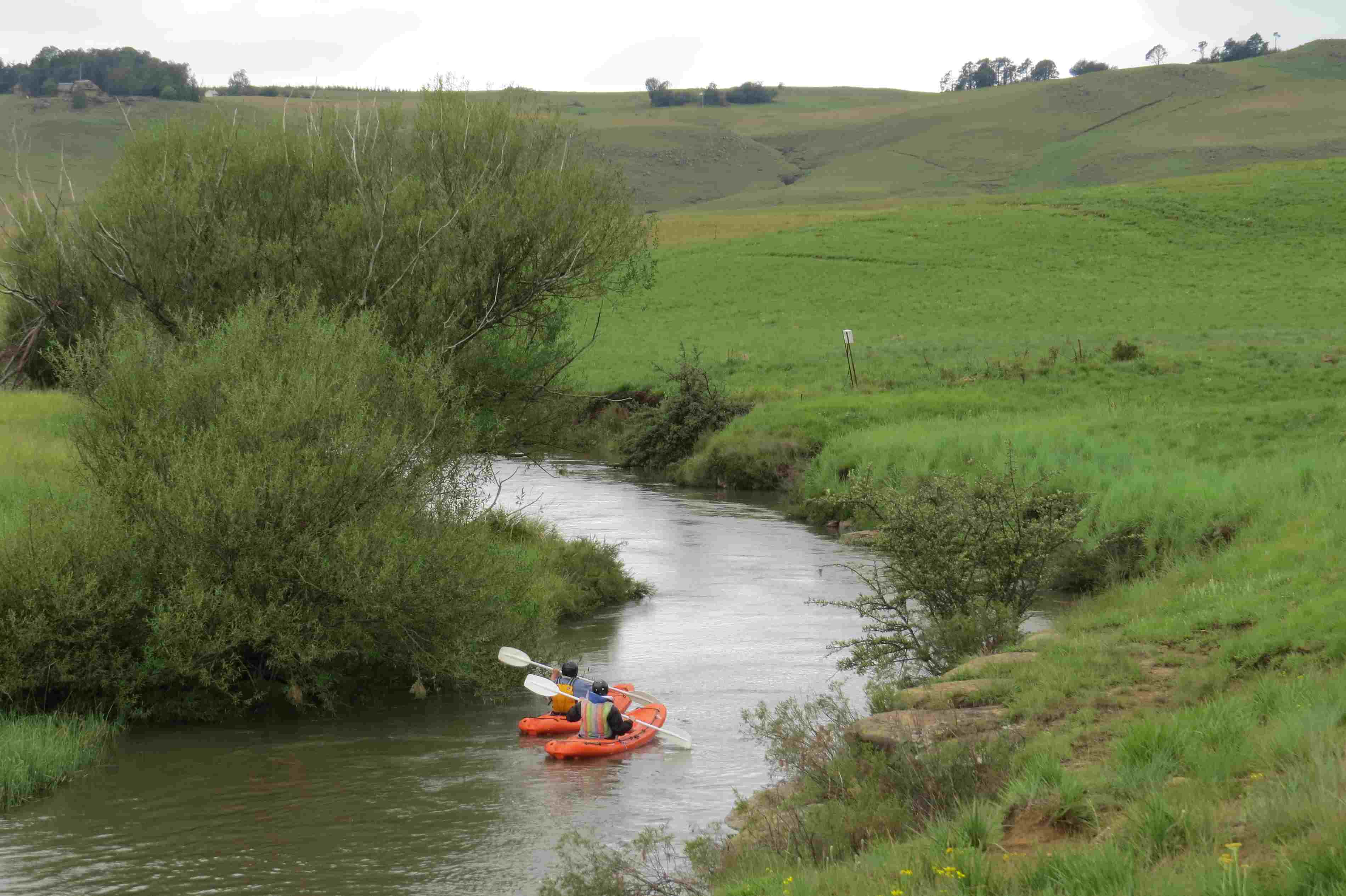 Kayaks (Copy)