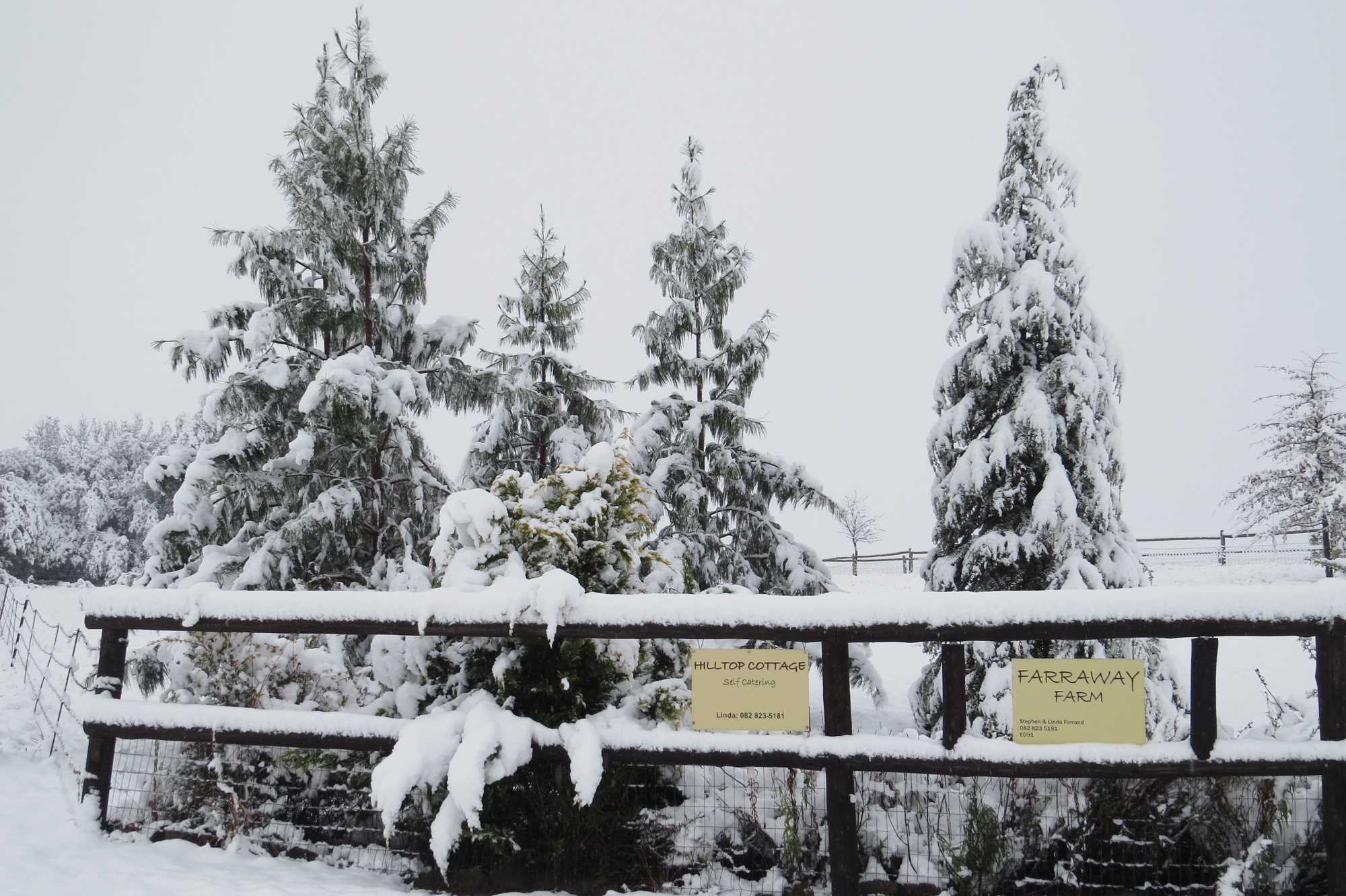 snow_at_gate