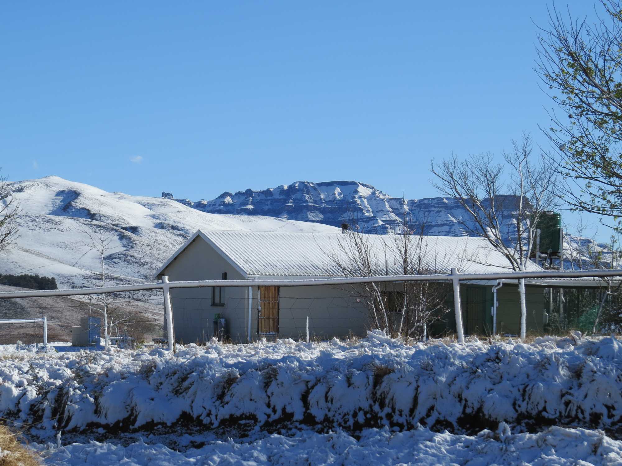 14_Snow2